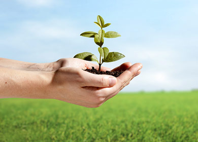 營(yíng)銷(xiāo)理念